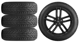 nowe-kola-zima-audi-q2-ga-riken-215-50r18-13