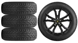 nowe-kola-zima-cupra-leon-kl-riken-225-45r17-16