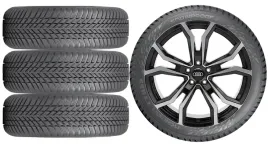 nowe-kola-zima-audi-q8-4l-nokian-275-50r20-3