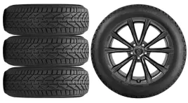 nowe-kola-zima-peugeot-3008-m-riken-225-55r18-5