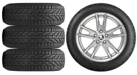 nowe-kola-zima-skoda-kamiq-nw-riken-205-55r17-5