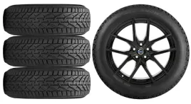 nowe-kola-zima-volvo-s90-p-v90-p-riken-245-45r18-5