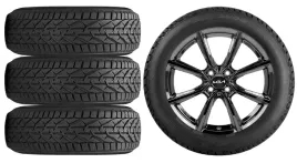 nowe-kola-zima-kia-stonic-riken-195-55r16