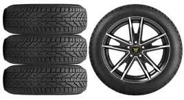nowe-kola-zima-cupra-leon-kl-riken-225-45r17-1