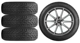 nowe-kola-zima-audi-q2-ga-riken-215-55r17-1