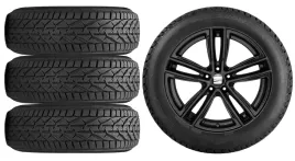 nowe-kola-zima-seat-arona-kj-riken-205-55r17