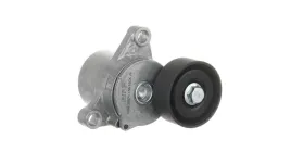 vkm-38871-napinacz-paska-wielorowk-bmw-skf