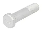 78107-sruba-kola-auger