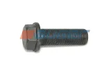 68157-sruba-auger