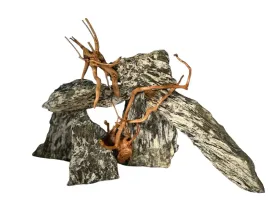 piasek-korzen-lupek-drzewiasty-dekoracje-do-akwarium-gotowa-aranzacja-r2