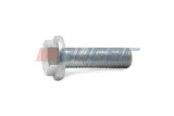 72318-sruba-auger