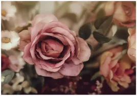 fototapeta-kwiaty-roze-natura-sypialnia-salon-tapeta-flizelina-400x280