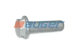 68242-sruba-auger