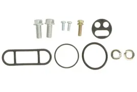 60-1006-sprezyna-zaw-bmw-t-1-series-convertibl-maxgear