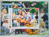 puzzle-1000-psy-w-ogrodzie-trefl-kod-producenta-10556