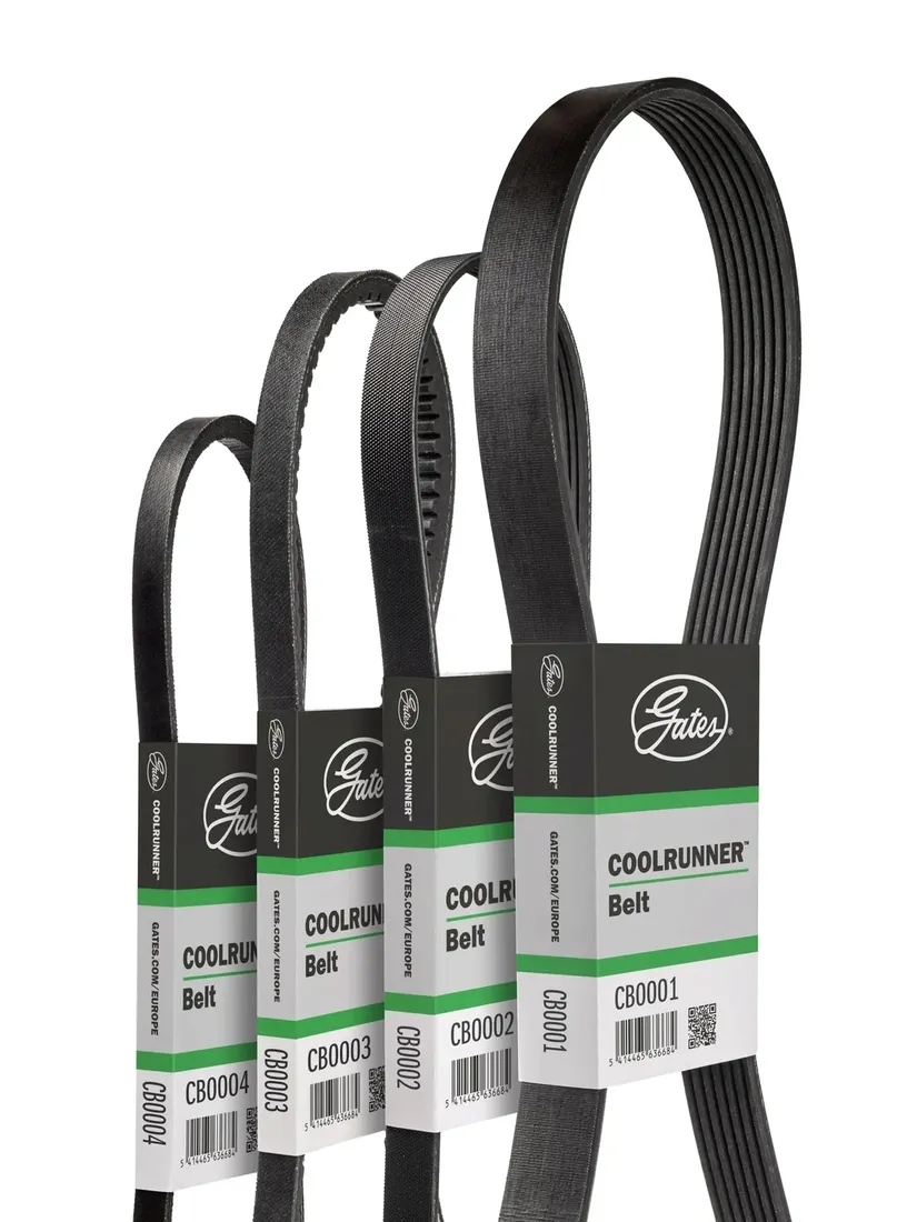 cb0010-pasek-klinowy-gates