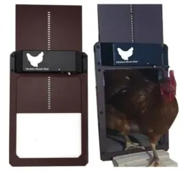 automatyczne-smart-drzwi-do-kurnika-wykrywanie