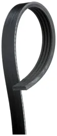 4pk836sf-pasek-wieloklinowy-gates