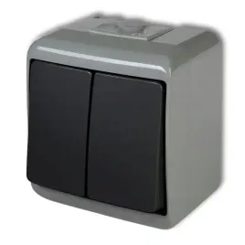 lacznik-wlacznik-hermetyczny-podwojny-ip54-szary-grafitowy-nt-n-t-2x
