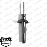 r8002-amortyzator-monroe-producent-ak