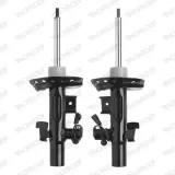 c2504r-amortyzator-monroe-waga-z-opakowaniem-6-kg
