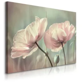 obraz-na-plotnie-biale-tulipany-kwiaty-natura-rosliny-do-sypialni-40x30