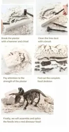 zestaw-archeolog-wykopaliska-skamieliny-dinozaur-szkielet-t-rex-gratis