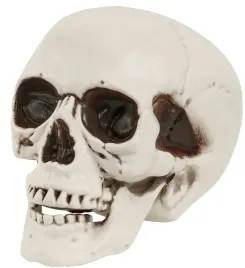 sztuczna-czaszka-z-ruchoma-szczeka-28-cm-dekoracje-akcesoria-halloween