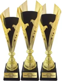 perfekcyjny-komplet-pucharow-wyroznienie-hodowcy-golebi-pzhgp-grawerki