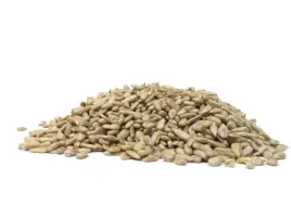 slonecznik-luskany-pestki-slonecznika-5kg-ecobi