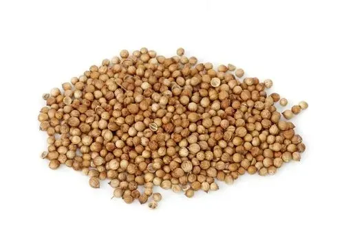 kolendra-owoc-kolendry-100g-ecobi