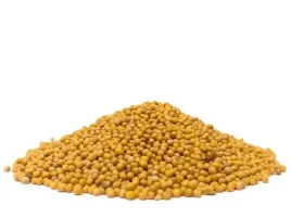 gorczyca-biala-1-kg-ziarno-do-przetworow