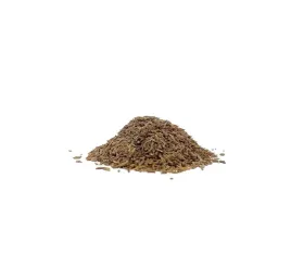kminek-ziarno-aromatyczny-nasiona-kminku-hurt-5kg-ecobi