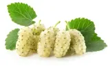 morwa-biala-suszona-1-kg-waga-1000-g
