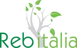 lotion-rebitalia-energizing-wcierka-przeciwko-wypadaniu-wlosow-100ml