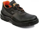 beta-s1-src-polbuty-37-model-beta
