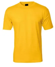 t-shirt-zolty-meski-okragly-dekolt-reis-rozmiar-xxl