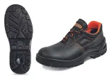 beta-s1-src-polbuty-40-przeznaczenie-uniwersalne