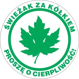 naklejka-klejenie-od-wewnatrz-zielony-lisc-klonu-mlody-kierowca-11x11cm