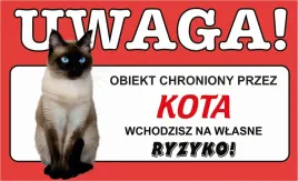 tabliczka-tablica-uwaga-kot-teren-monitorowany-prezent-gadzet-12x20cm
