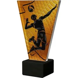 puchar-statuetka-szklana-premium-pilka-reczna-handball-grawer-gratis