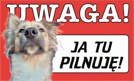 tabliczka-tablica-uwaga-pies-ja-tu-pilnuje-prezent-gadzet-12x20cm