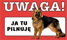 tabliczka-tablica-uwaga-dobry-pies-ja-tu-pilnuje-prezent-gadzet-12x20cm