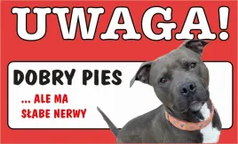 tabliczka-tablica-uwaga-dobry-pies-ja-tu-pilnuje-prezent-gadzet-12x20cm