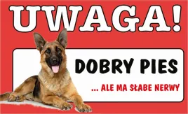tabliczka-tablica-uwaga-dobry-pies-ja-tu-pilnuje-prezent-gadzet-12x20cm