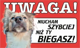 tabliczka-tablica-uwaga-pies-teren-monitorowany-prezent-gadzet-12x20cm