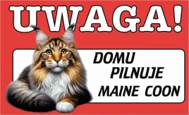 tabliczka-uwaga-kot-maine-coon-teren-monitorowany-prezent-gadzet-12x20cm