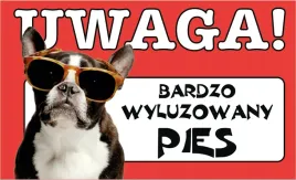 tabliczka-tablica-uwaga-wyluzowany-pies-prezent-gadzet-12x20cm