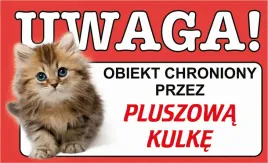 tabliczka-tablica-uwaga-kot-teren-monitorowany-prezent-gadzet-12x20cm