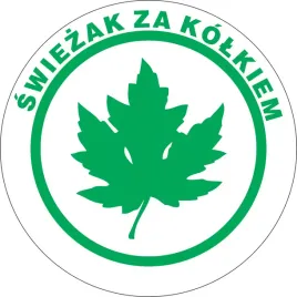 naklejka-klejenie-od-wewnatrz-zielony-lisc-klonu-mlody-kierowca-11x11cm